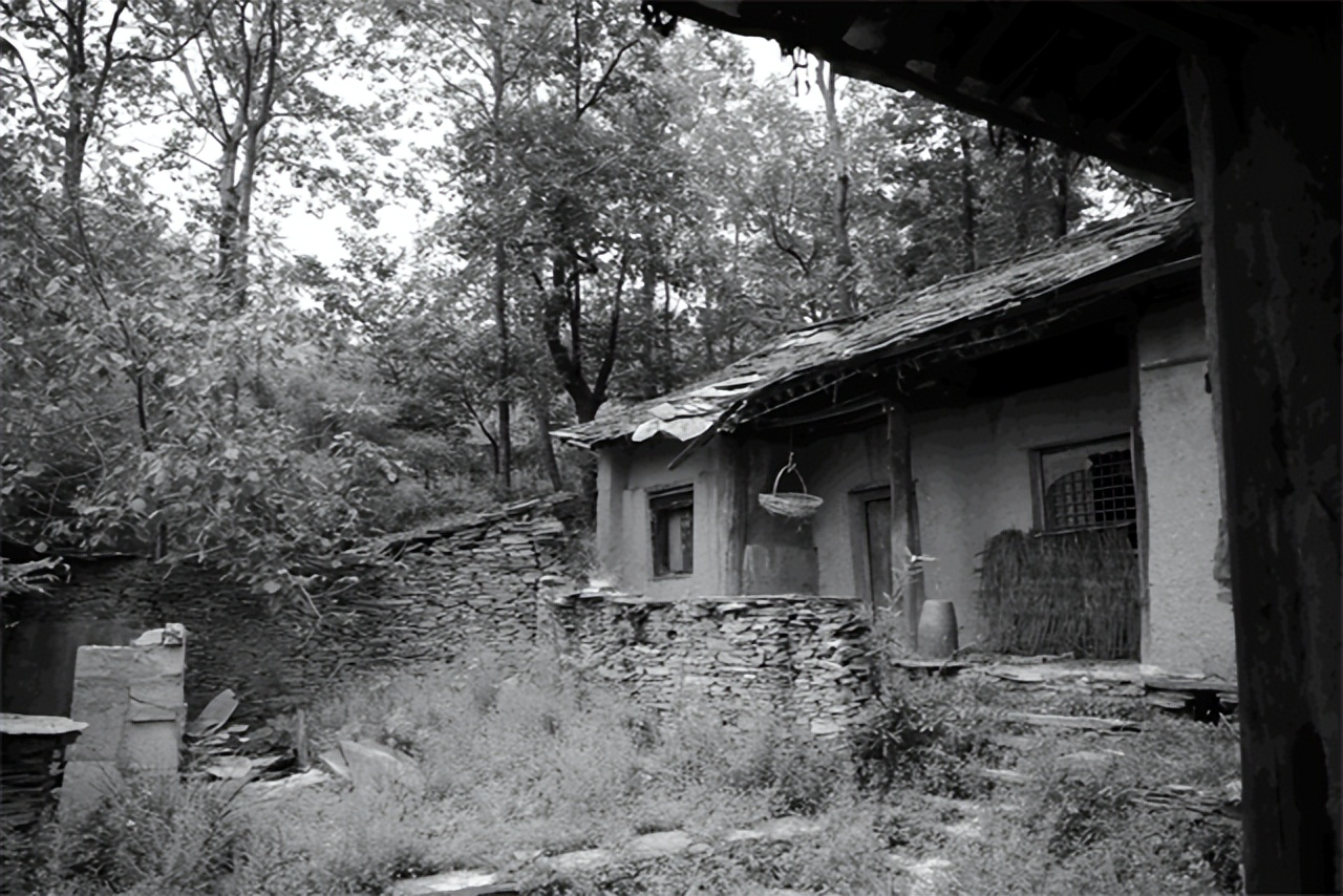 陈独秀临终前,陈独秀留下的遗言