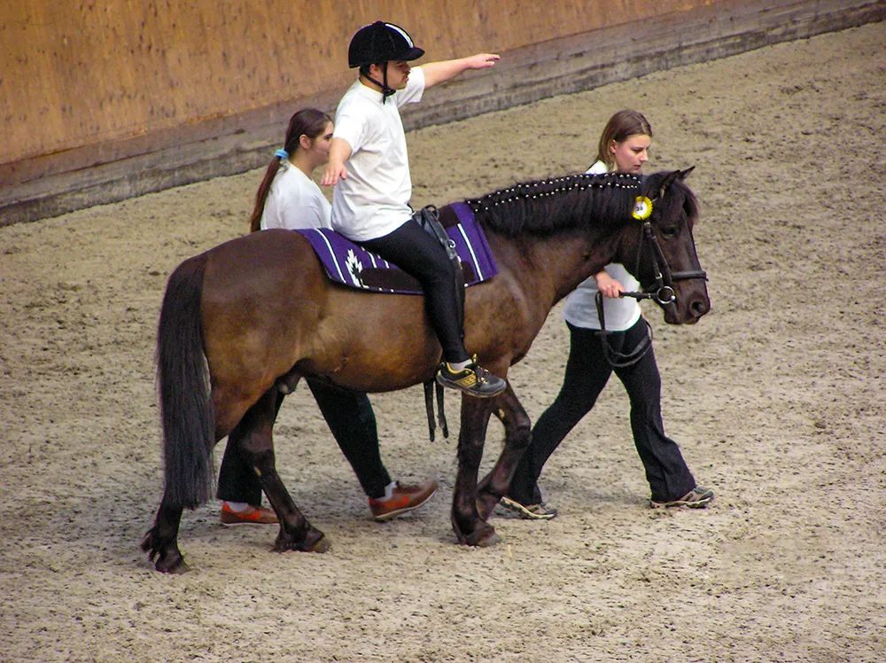 人与动物的相处故事100字,人与动物的温情故事