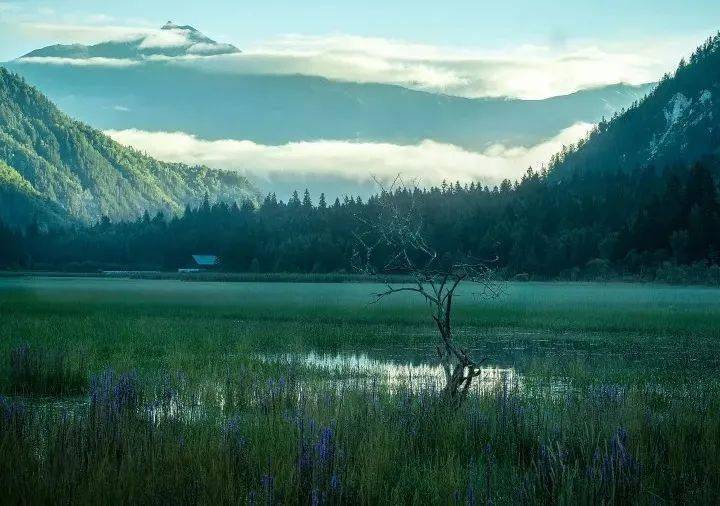 五一去九寨沟，这样安排，只需2.5天，避开拥堵，省钱还不累