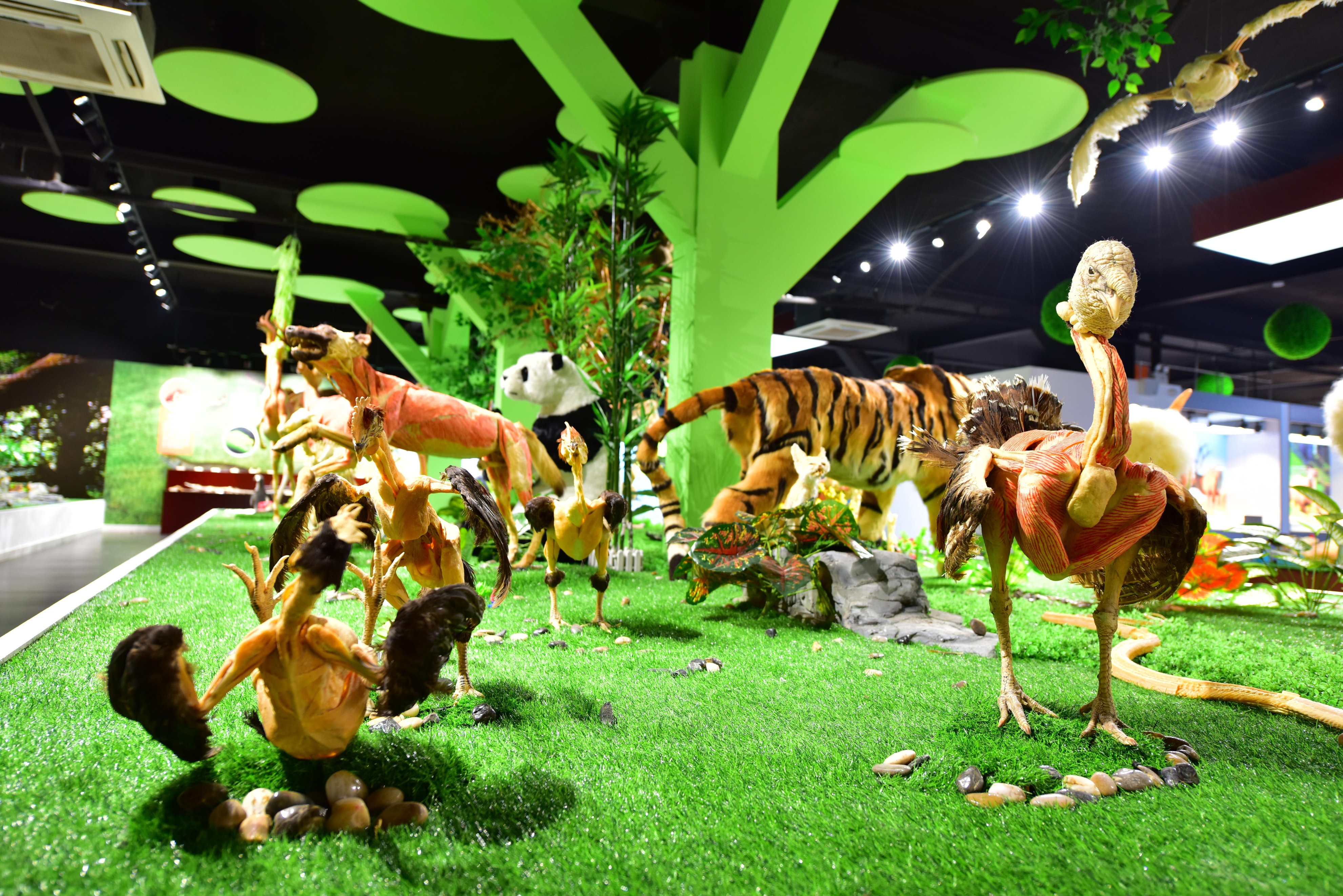 郑州春节遛娃游玩排行榜前十名,郑州冬季周末遛娃好去处