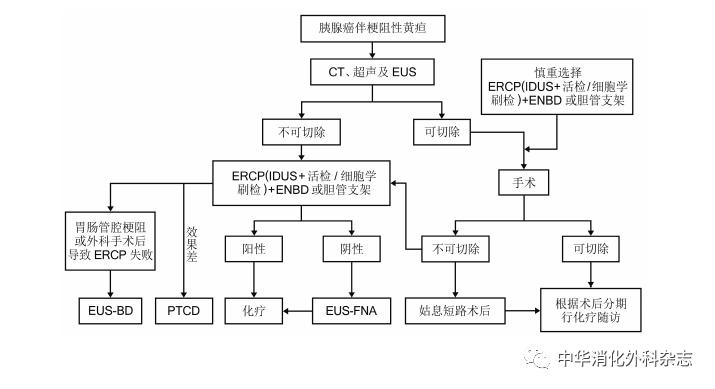 胰腺癌诊疗指南解读与实践,胰腺癌诊疗指南2021