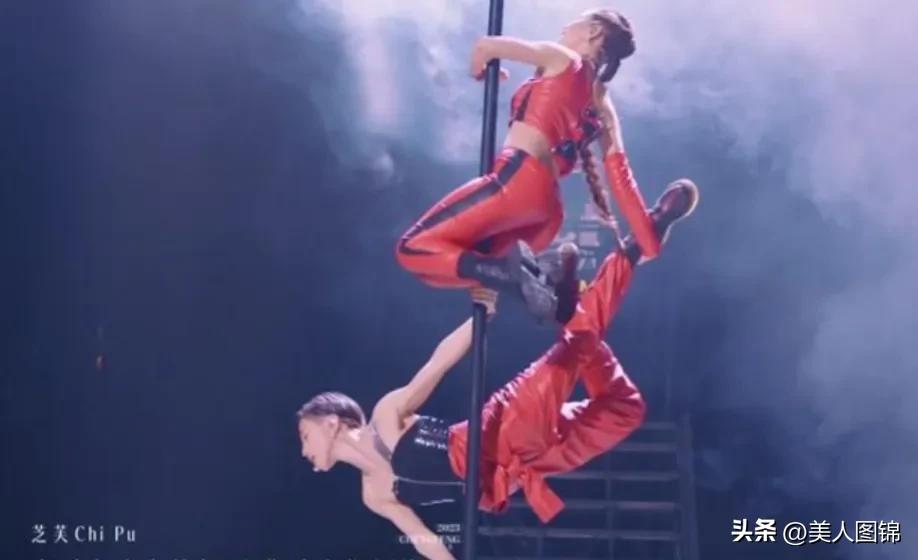 越南芝芙,芝芙越南