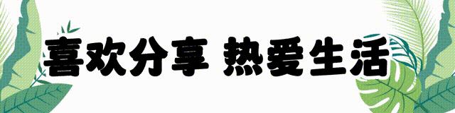 疯狂原始人主题音乐分析,疯狂原始人主题剪辑