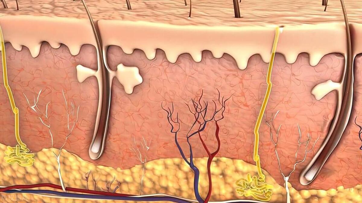 痣越长越大就是癌症的可能吗,身上新增好多痣是不是癌症的先兆