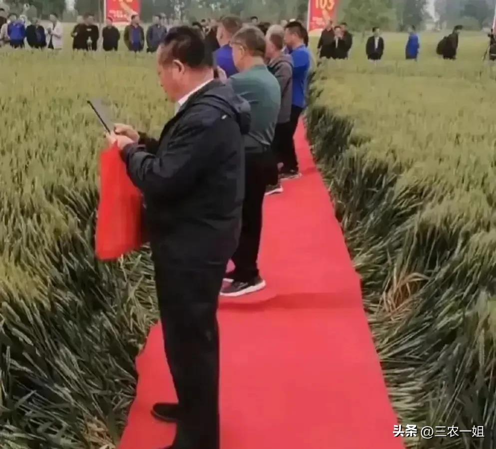 河南城管西瓜事件后续,河南城管砸西瓜摊警察出手后续