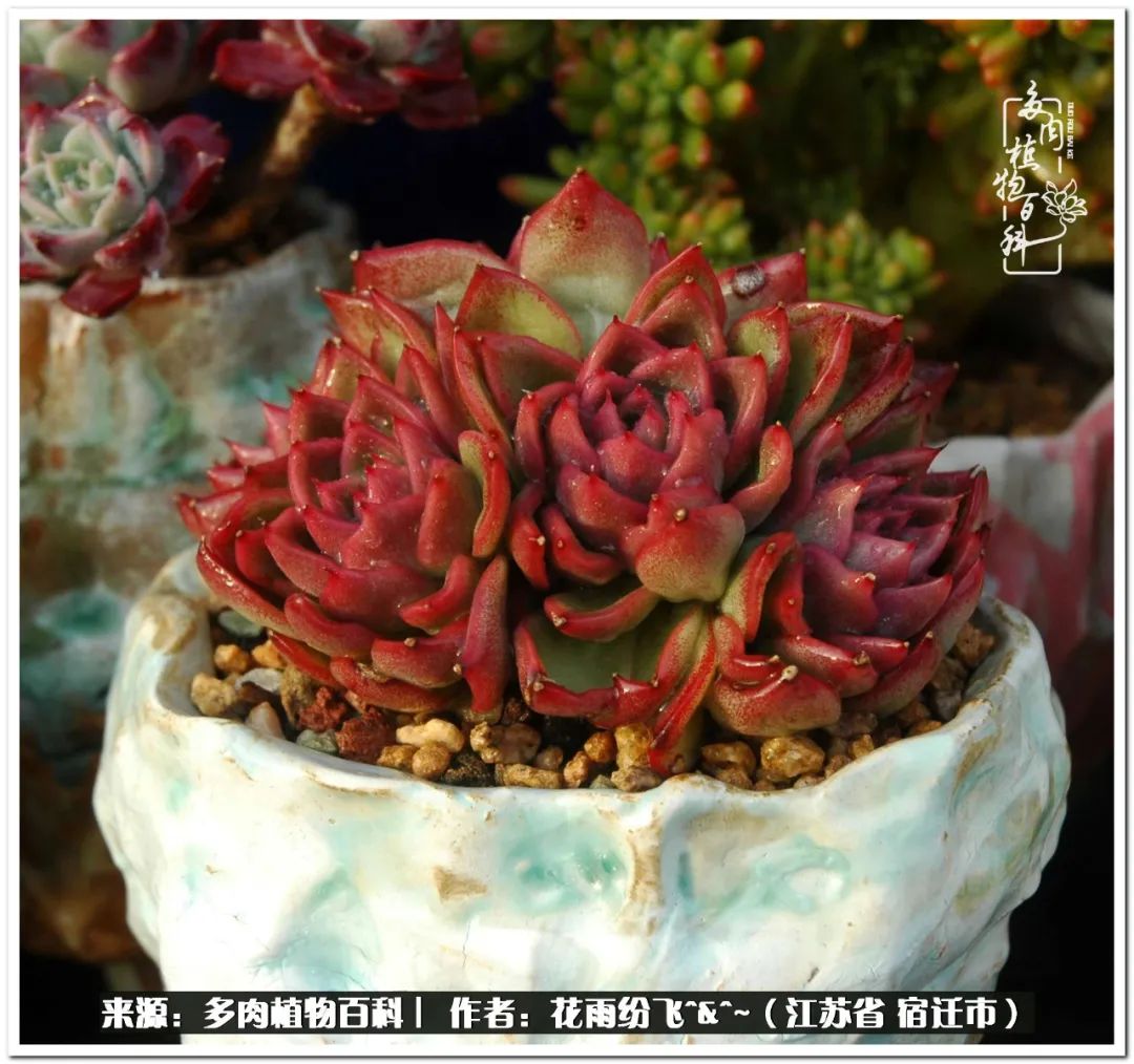 快乐的童年时光视频,回味快乐的童年美好的时光