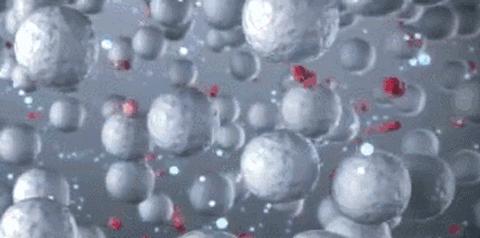 经验分享去日本必囤的4个好物,不去日本也要买的5个好物