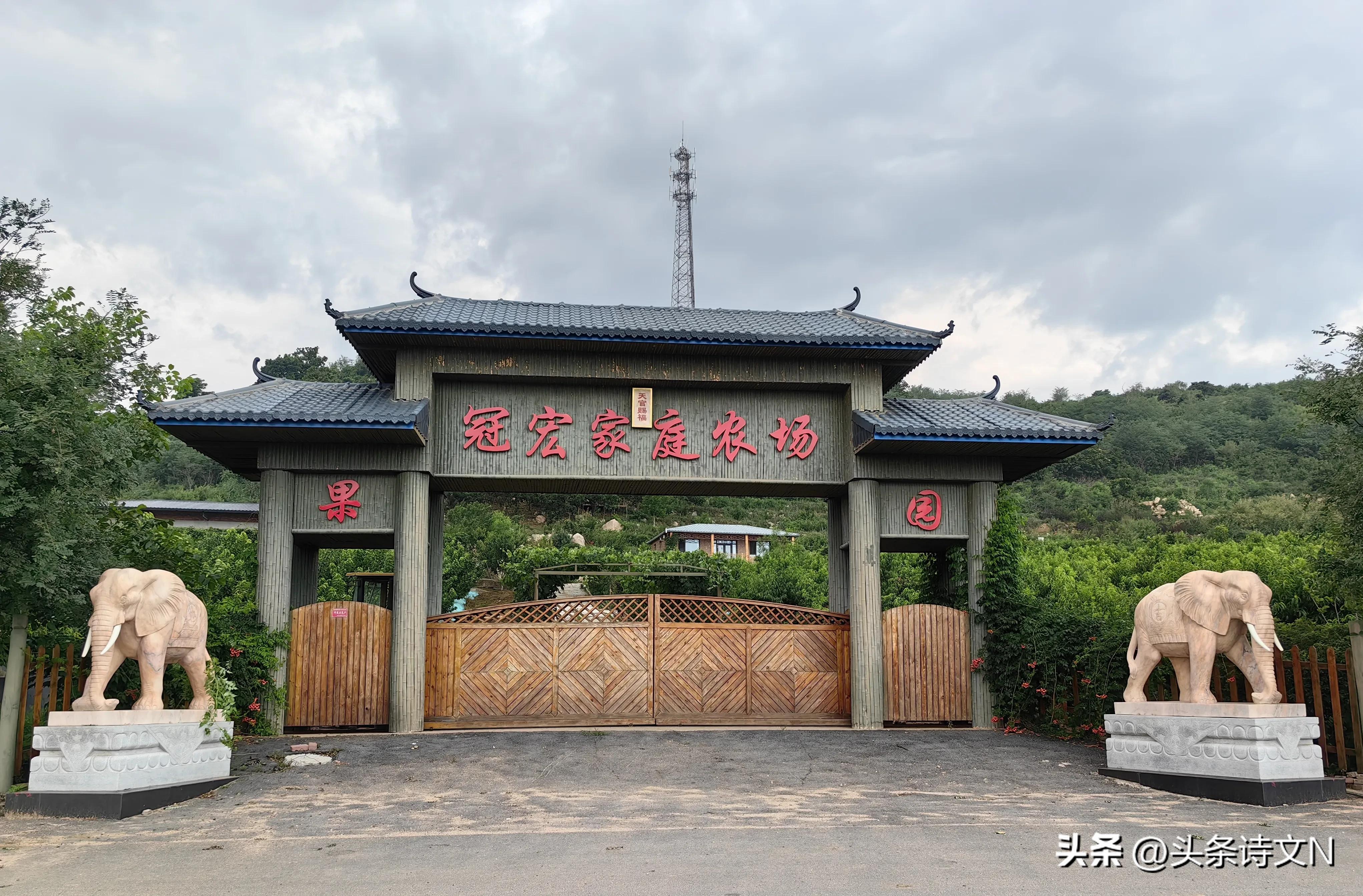 最好的旅行方式是什么,旅游选哪种方式更自由舒心