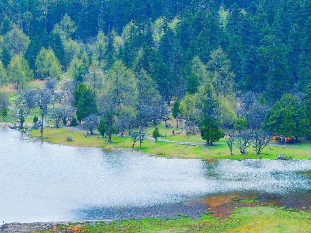 阿坝州最好的一个县是哪儿,阿坝州十三县排名