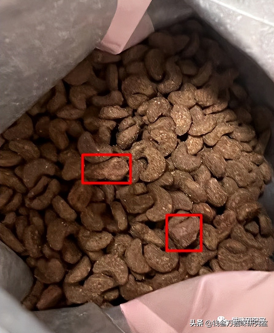 双拼猫粮冻干,玫斯无谷风干双拼猫粮