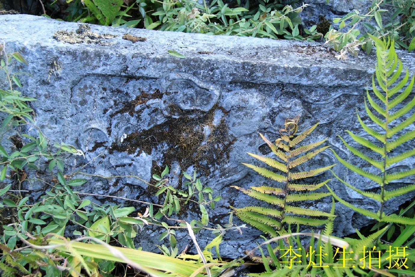 郴乐古道之水头江宜乐古道--广东省乐昌市庆云镇