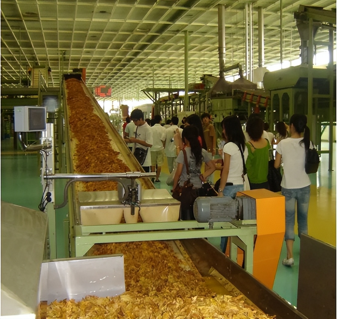 烟盒没有编码是不是假烟,香烟有保质期吗如何分辨真假烟