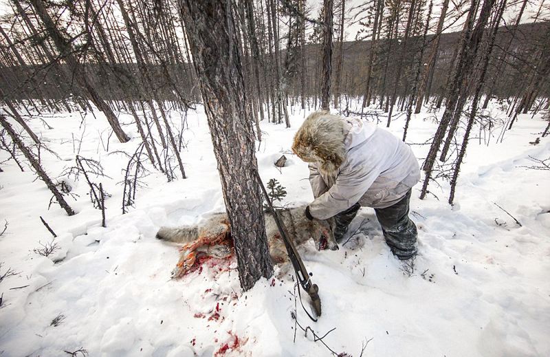 俄罗斯允许佩戴步枪吗,俄罗斯公民是否可以持有自动步枪