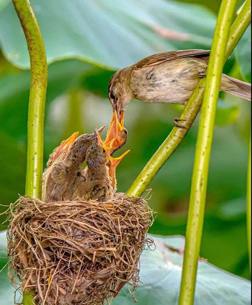 昆明七彩云南怎么样,七彩云南避暑家园