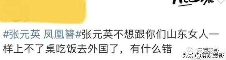 张元英不笑时啥样,张元英深藏不露