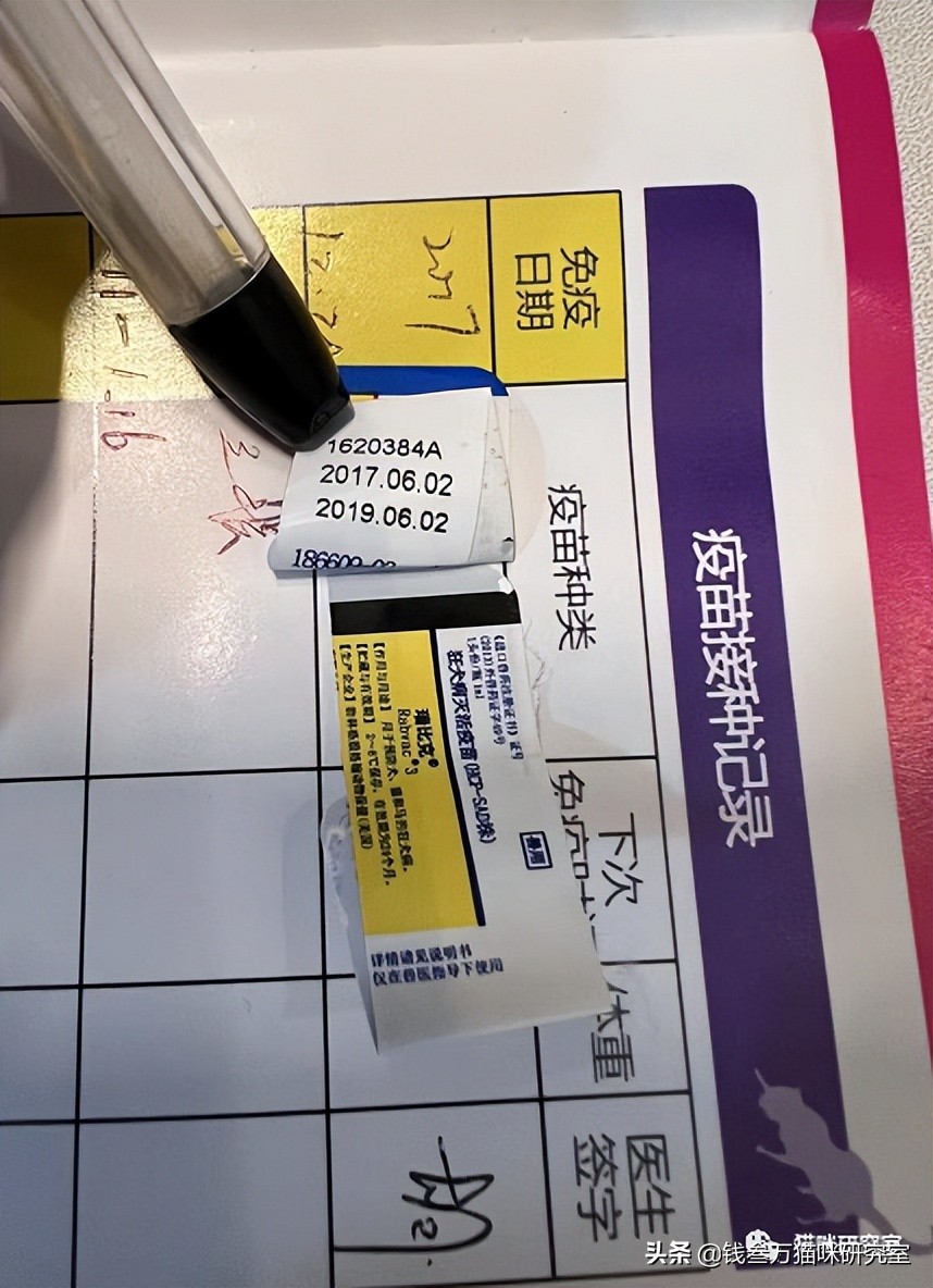 疫苗假针都有哪些,疫苗假针是真的吗