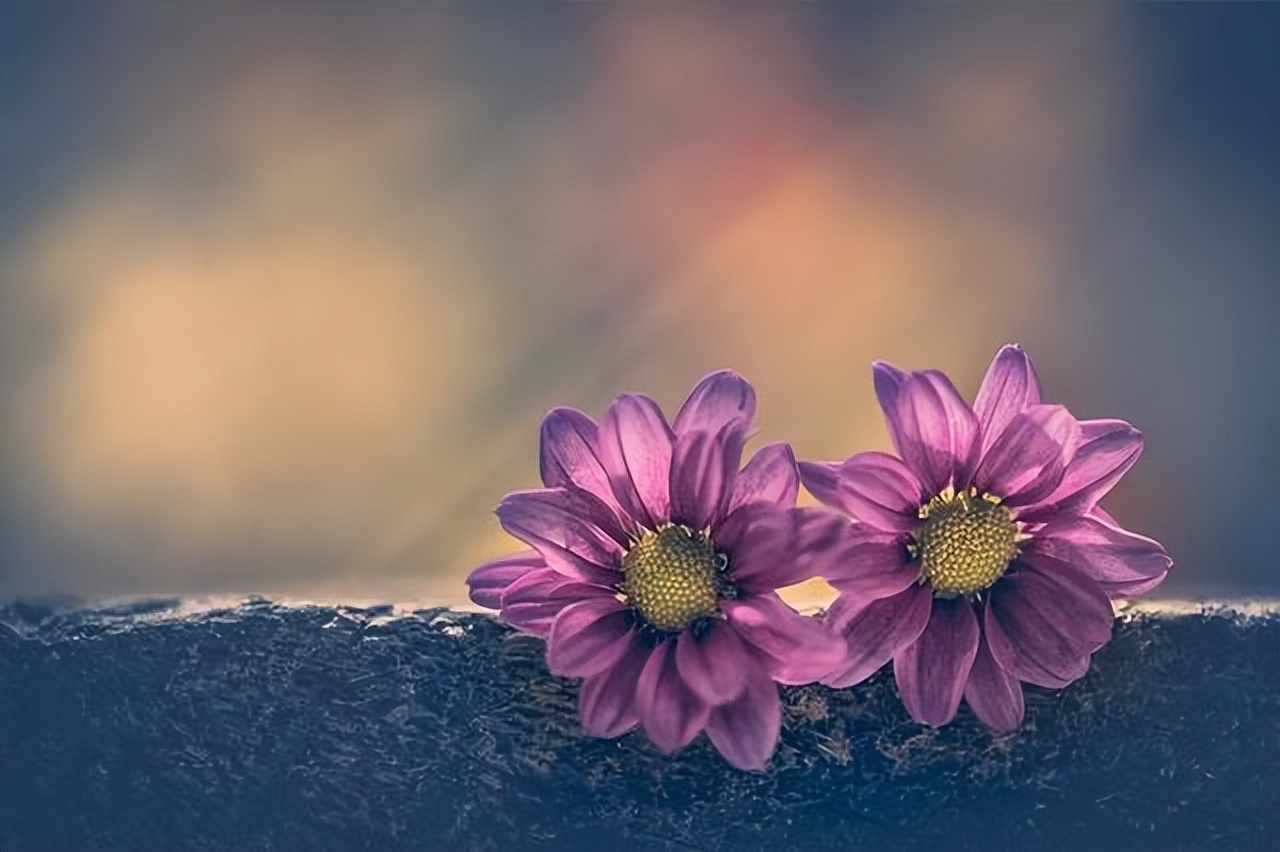 人一旦过了50岁你就会明白,人生最好的状态从五十岁开始