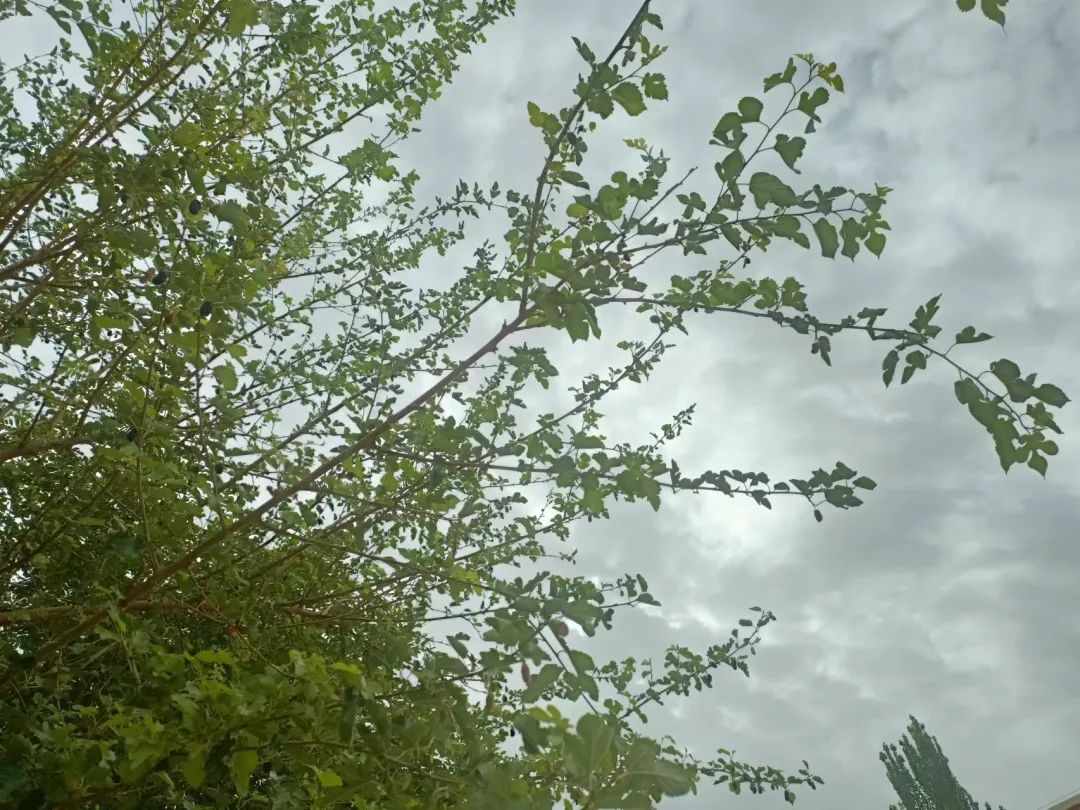 炽烈的支教（7）：企盼到雨，再企盼便是孩子的未来