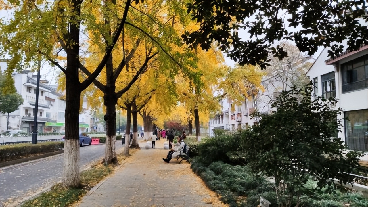 苏州秋季旅游最值得去的地方,苏州赏秋一日游攻略