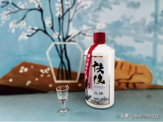 价格最良心的纯粮酒有哪些,百元内口粮酒最好的10款纯粮酒