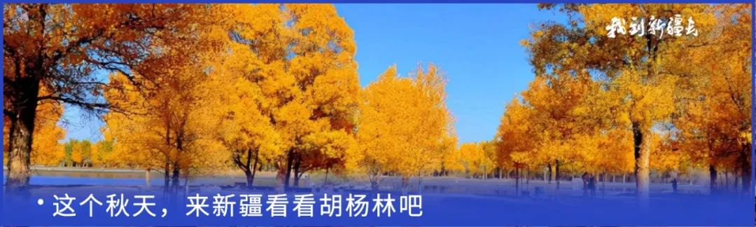 入疆旅游攻略,环疆旅游攻略大全