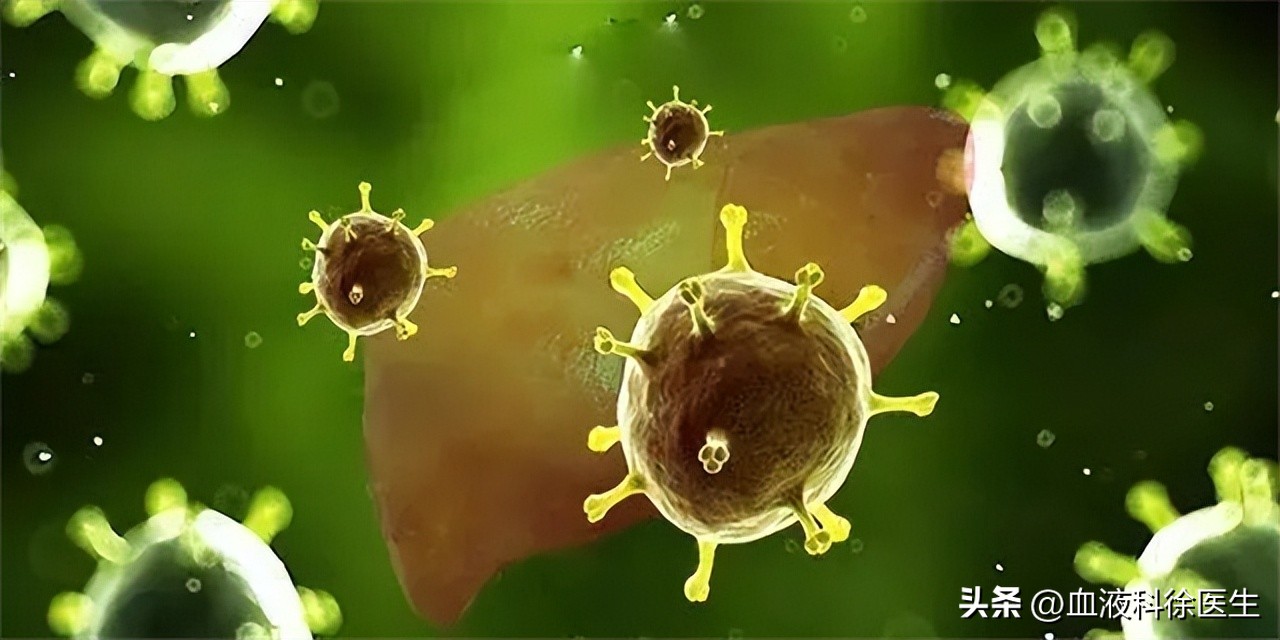 治乙肝恩替卡韦好还是替诺福韦好,恩替卡韦治乙肝原理