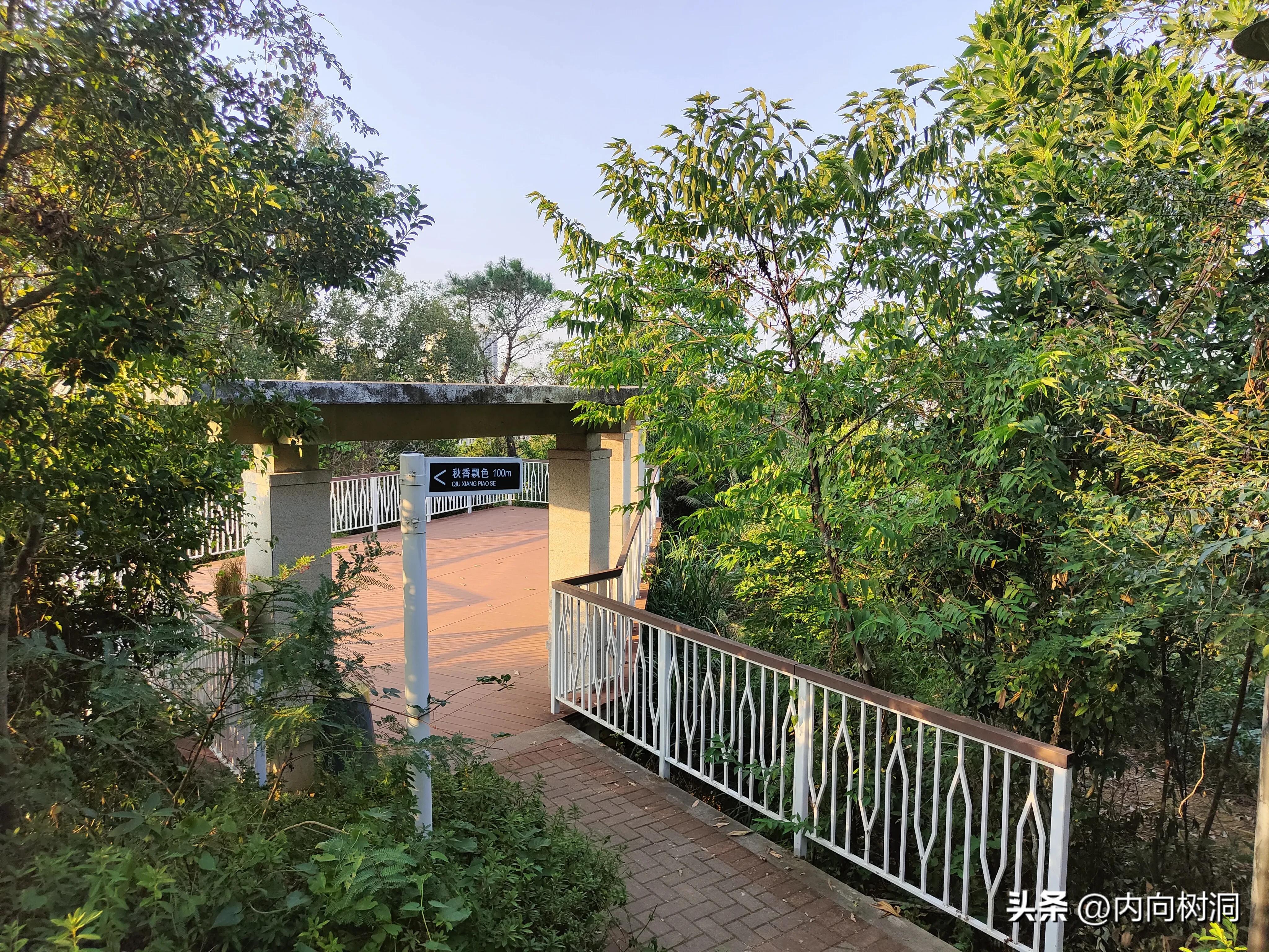 淘金山求水山徒步线路,求水山淘金山绿道在哪里