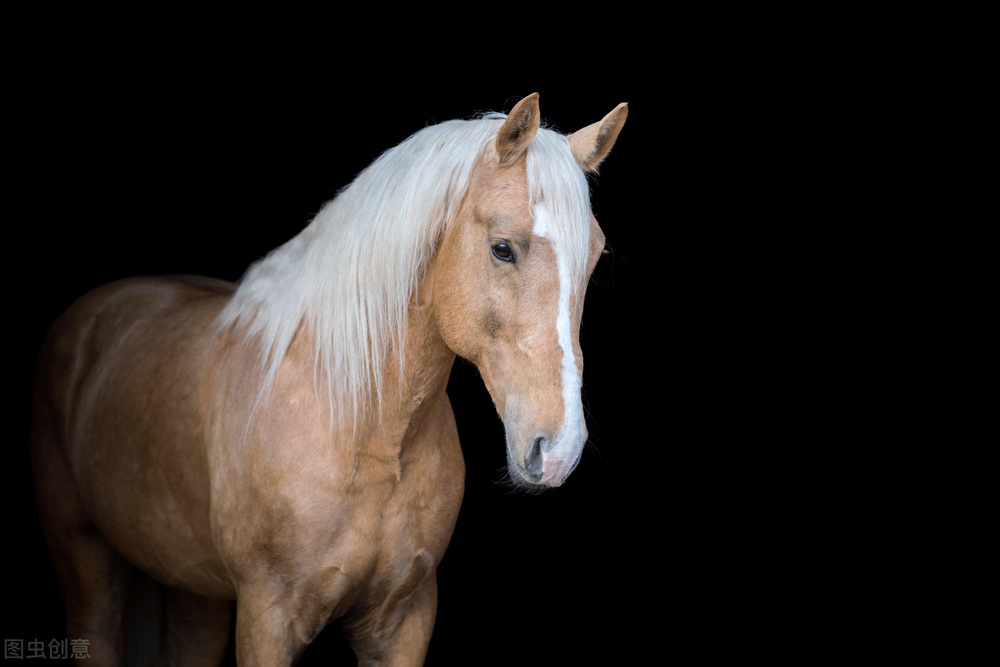 乌盟往事：⑨“走东口”，老家从坝上来
