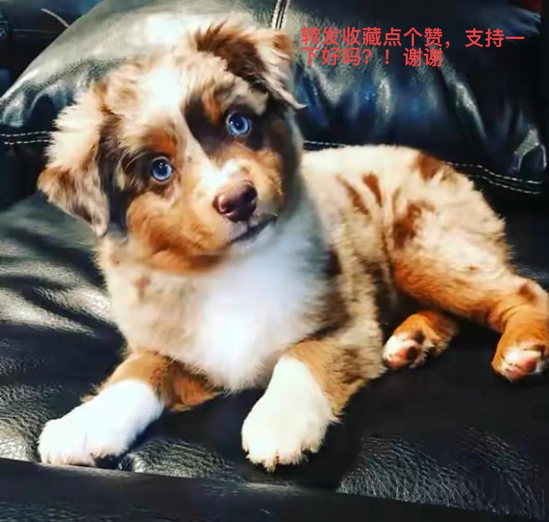 爱你小笑话,幽默小笑话大全笑哭你