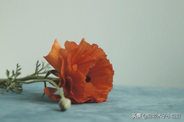 微信昵称暴露你的性格,微信名暴露性格