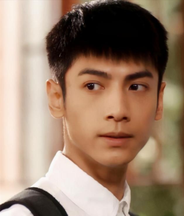 川渝年轻帅气的男明星,盘点川渝男星前十