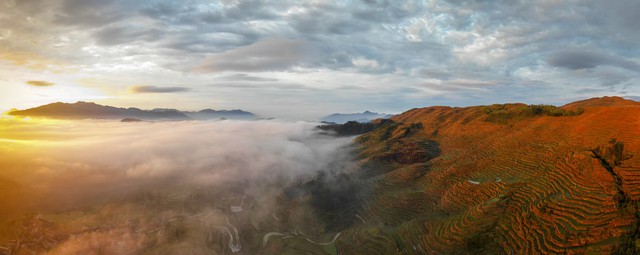 看不懂的生意才是最赚钱的,哪些不起眼的生意却很赚钱