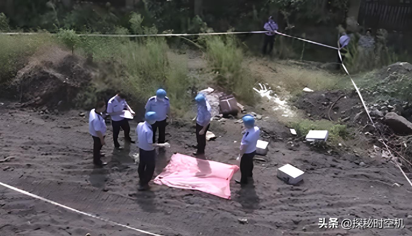 浙江行李箱碎尸案,江西皮箱藏尸真相大揭秘最新