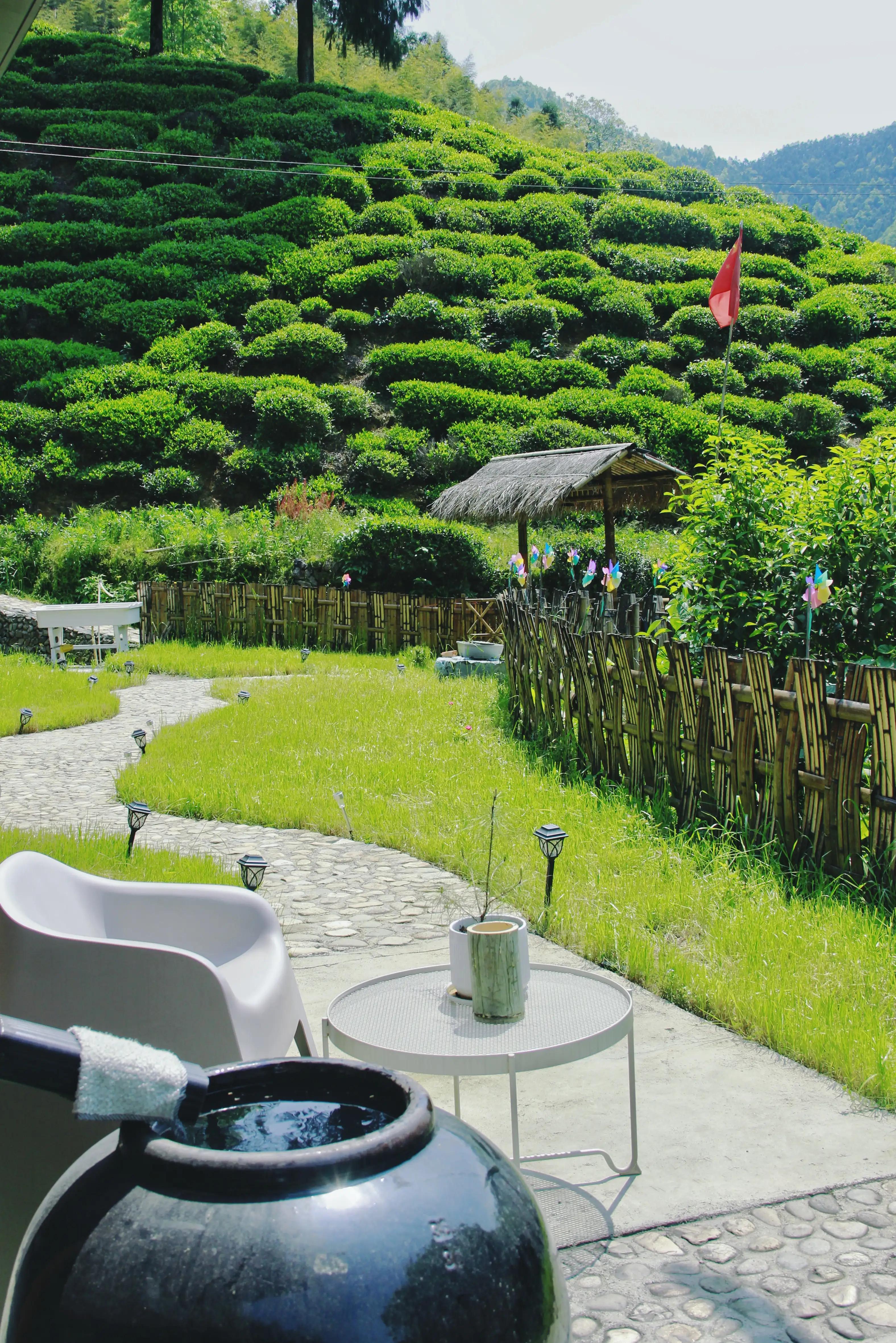 高考状元休宁,休宁十九位状元的名字