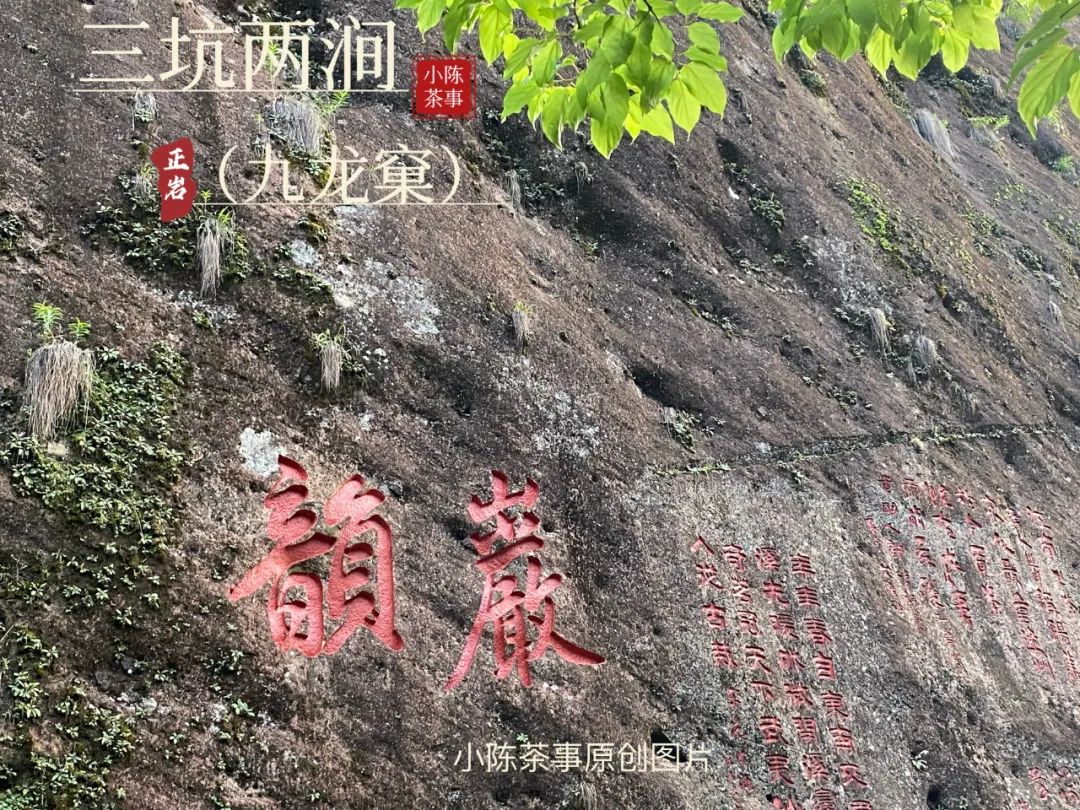 水仙肉桂大红袍金骏眉正山小种,大红袍正山小种金骏眉水仙肉桂