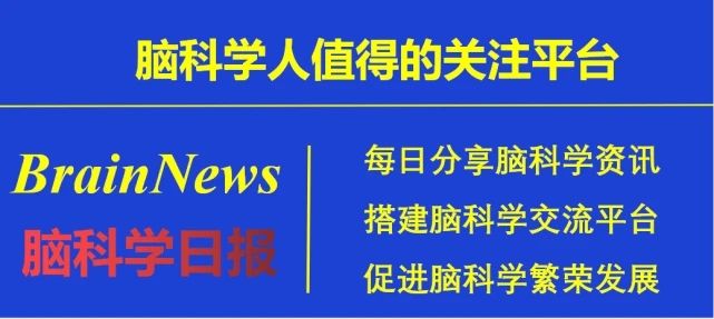 脑科学日报最新消息,最新脑科学基因治疗新闻