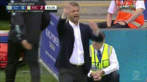 世界上最壮的牛照片,世界最壮的牛图片