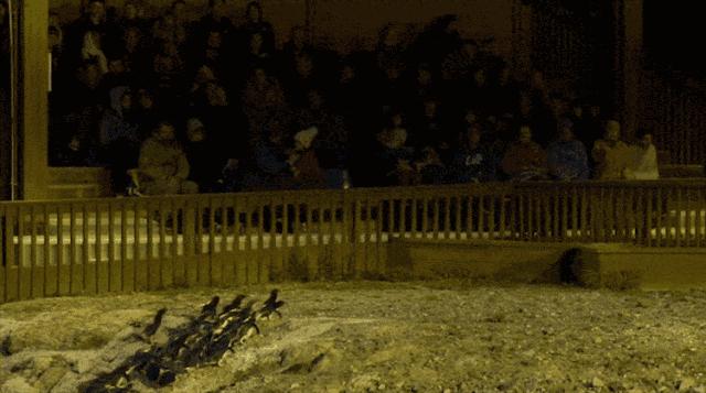 游记分享推送,游记分享我的旅行日记