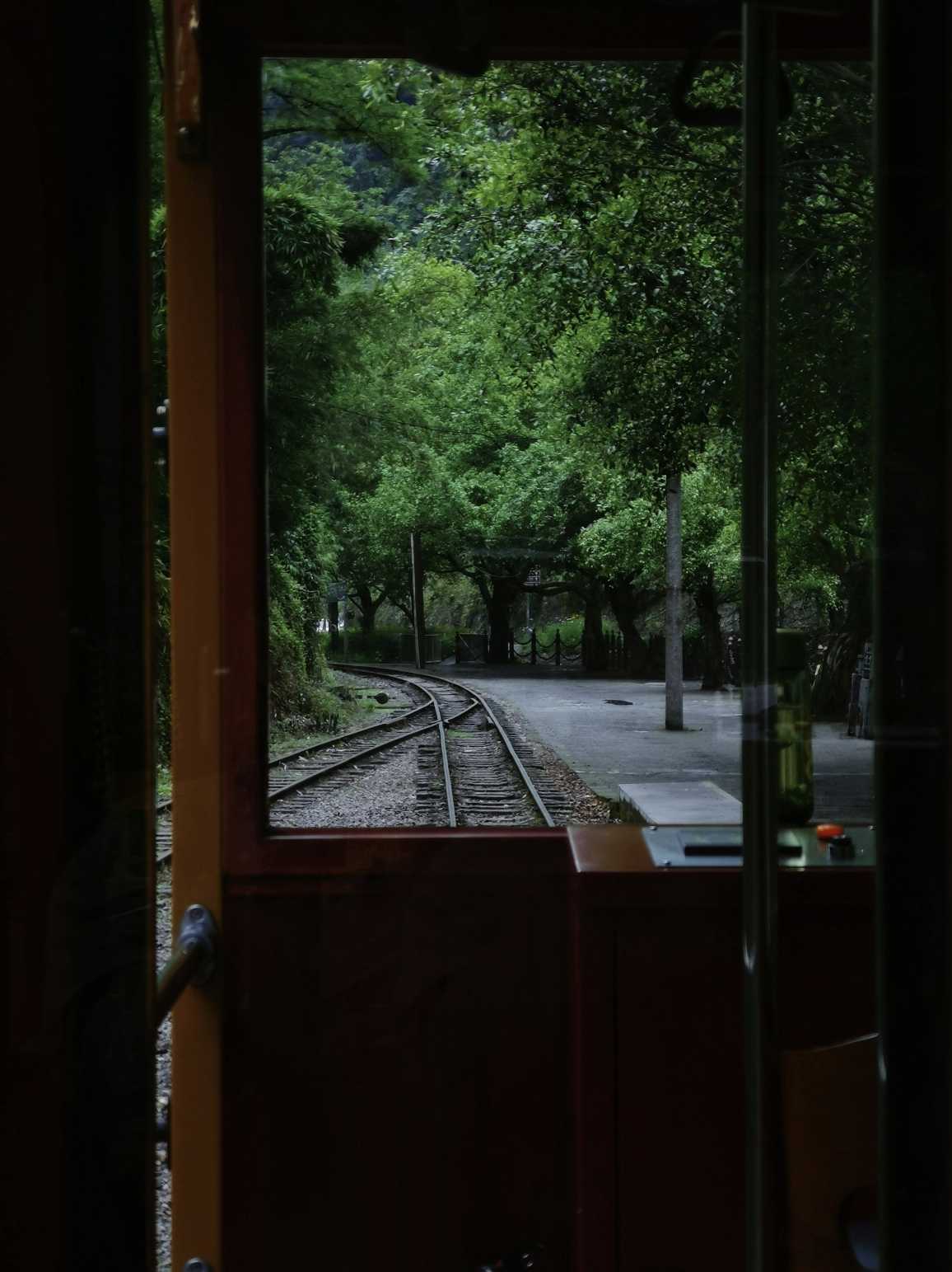 乐山异国风情打卡新去处,乐山游玩攻略及人文风情