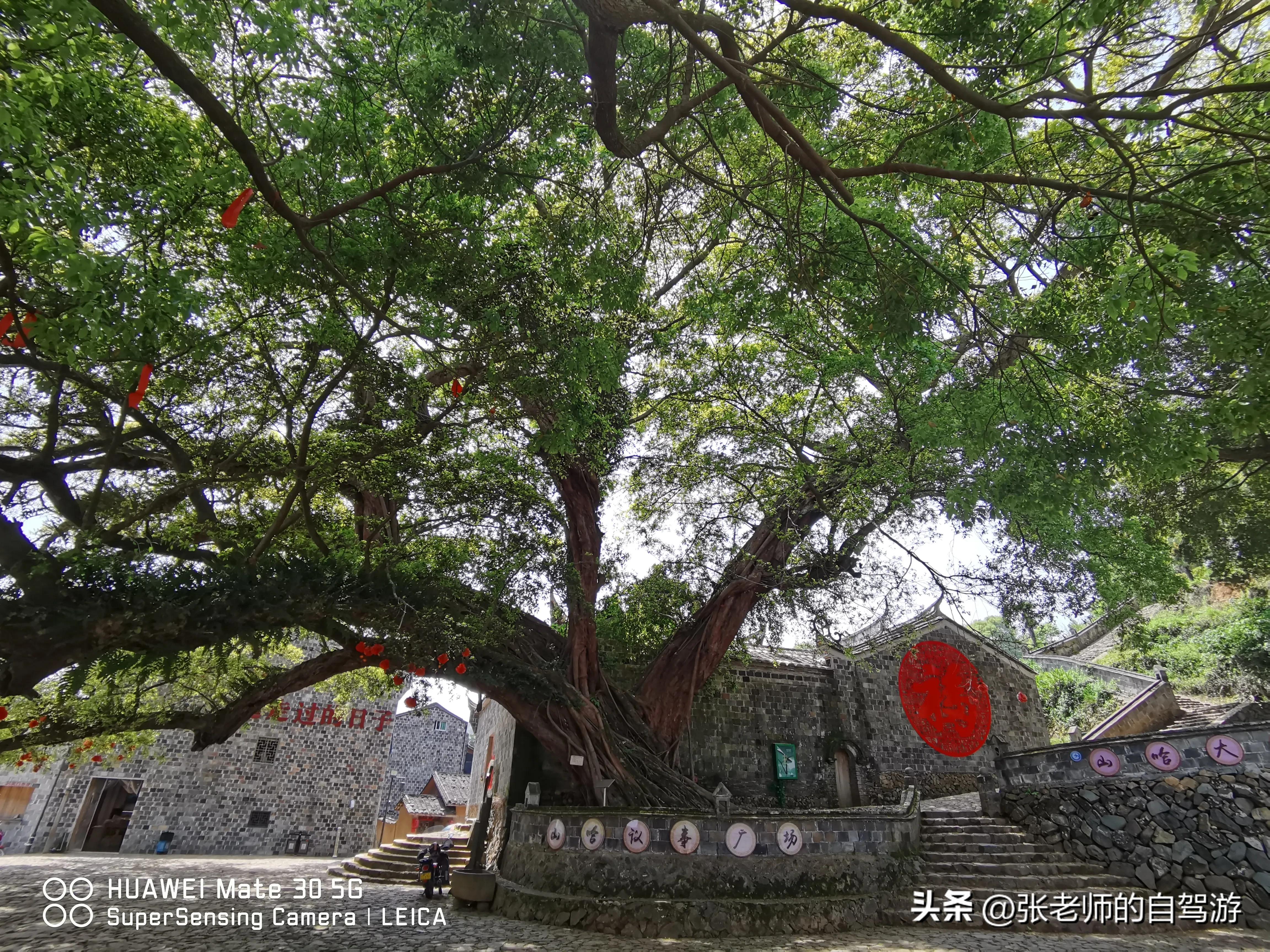 自驾环游中国最佳路线图费用,盐城到海南自驾旅行攻略