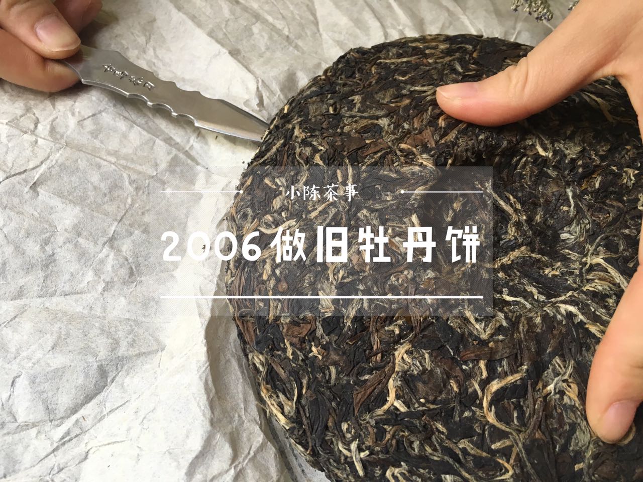 白茶只有老的好,白茶新茶就好喝