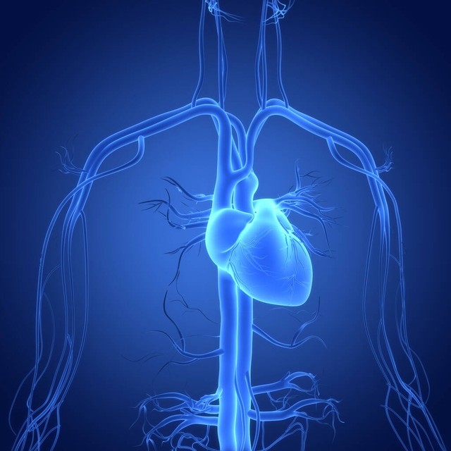 老人家入住新房还如何除甲醛,家里有老人孩子怎么除甲醛