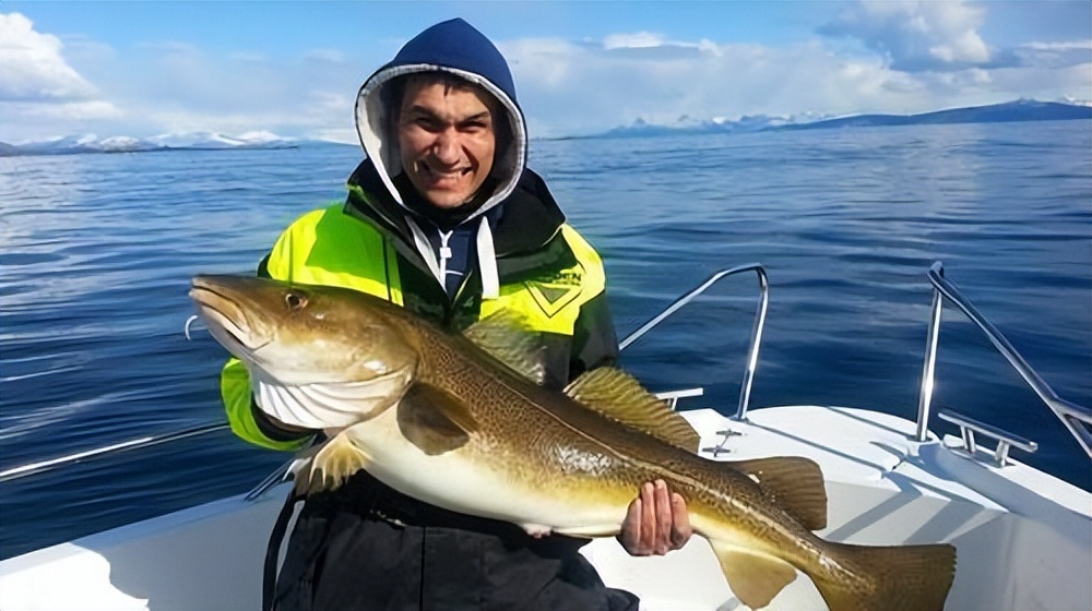 世界第一渔港,世界第一渔港为什么没有捕鱼