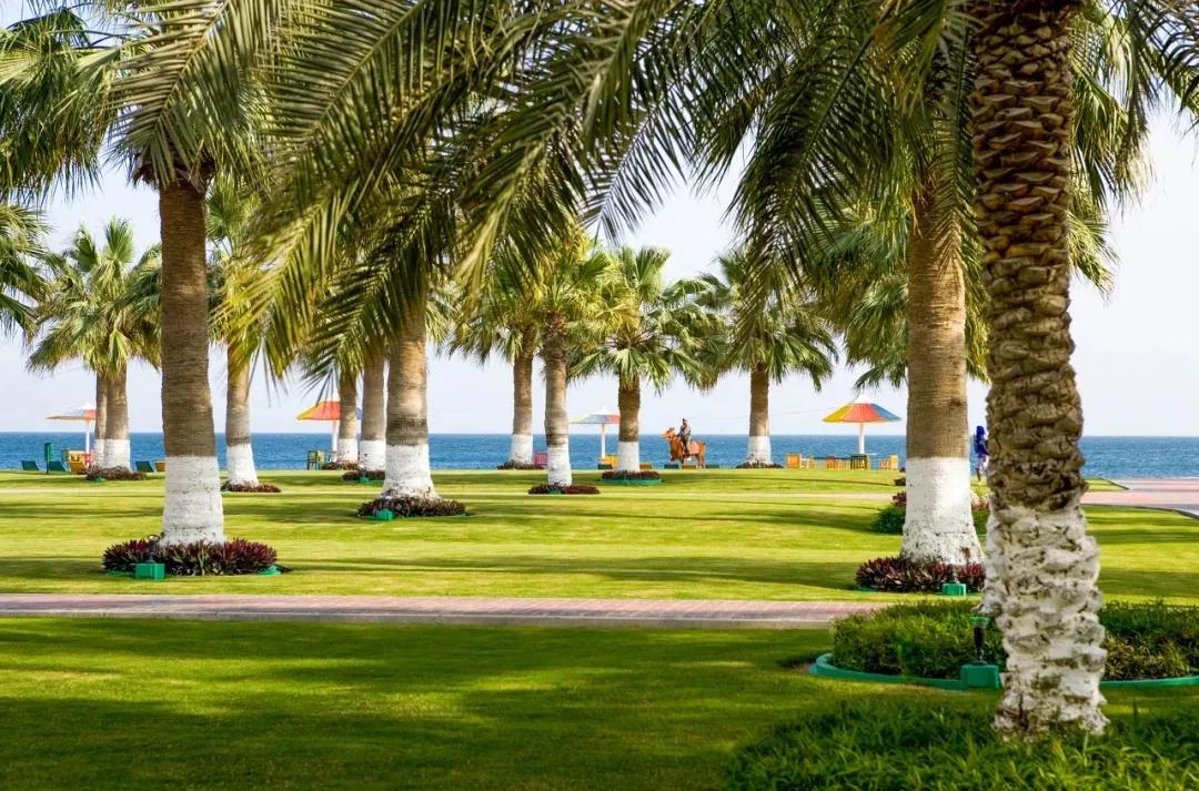 卡塔尔中东明珠,卡塔尔明珠