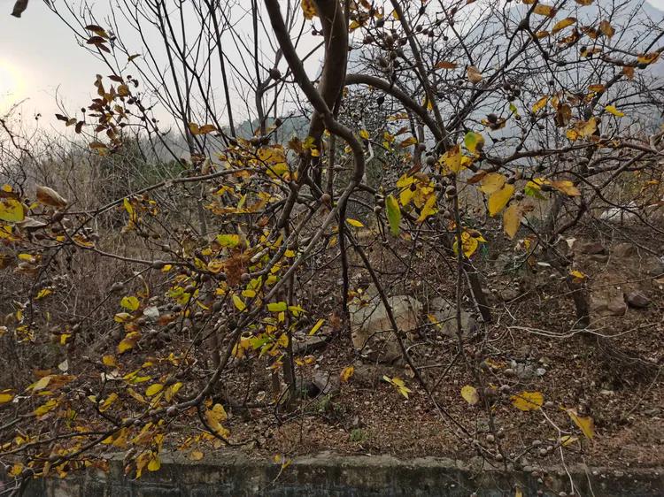 绝壁大梯白云寺,徒步白云寺