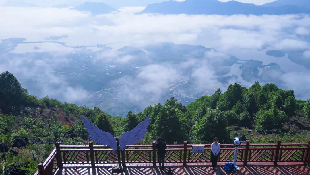 到咸宁看国宝过大年,离家45年的国宝回湖北咸宁过年