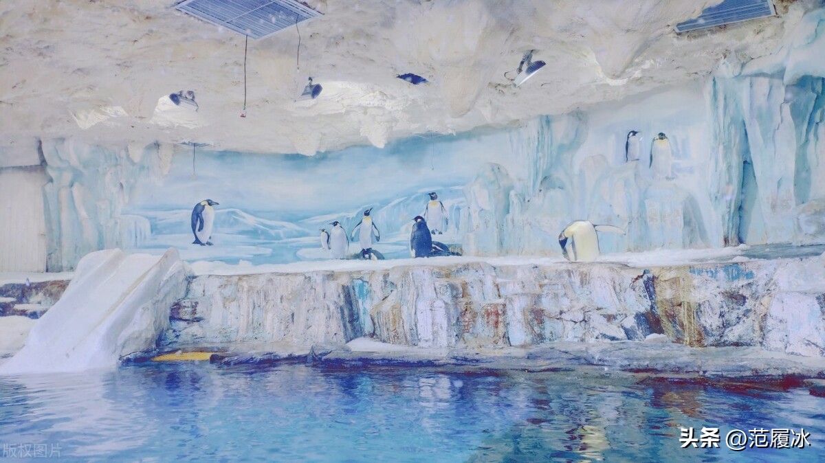 五一青岛旅游避坑指南，请分享给你的亲朋好友