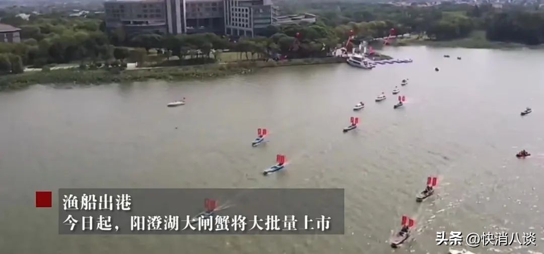 阳澄湖大闸蟹正式开捕,阳澄湖大闸蟹官方试捕节