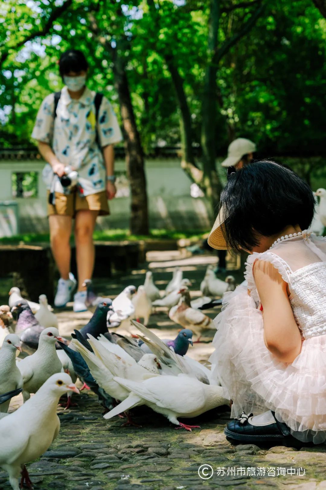 苏州马拉松路线攻略,苏州马拉松旅游攻略