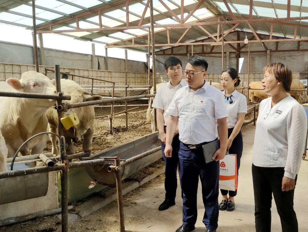 20亿创业,20万投入创业项目